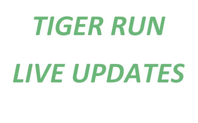 tiger runners online